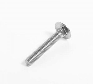 carriage bolt cover